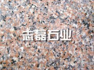 櫻花紅光面