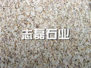 山東黃金麻